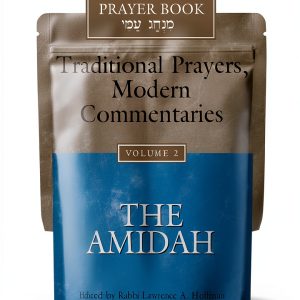 Jewish Prayerbook Kindle Edition by Jewish Lights-0