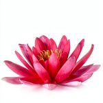 Kindle Store Health Spirituality Unlimited Access-0